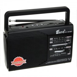 قیمت رادیو دسته دار ایپی FP-1972BT