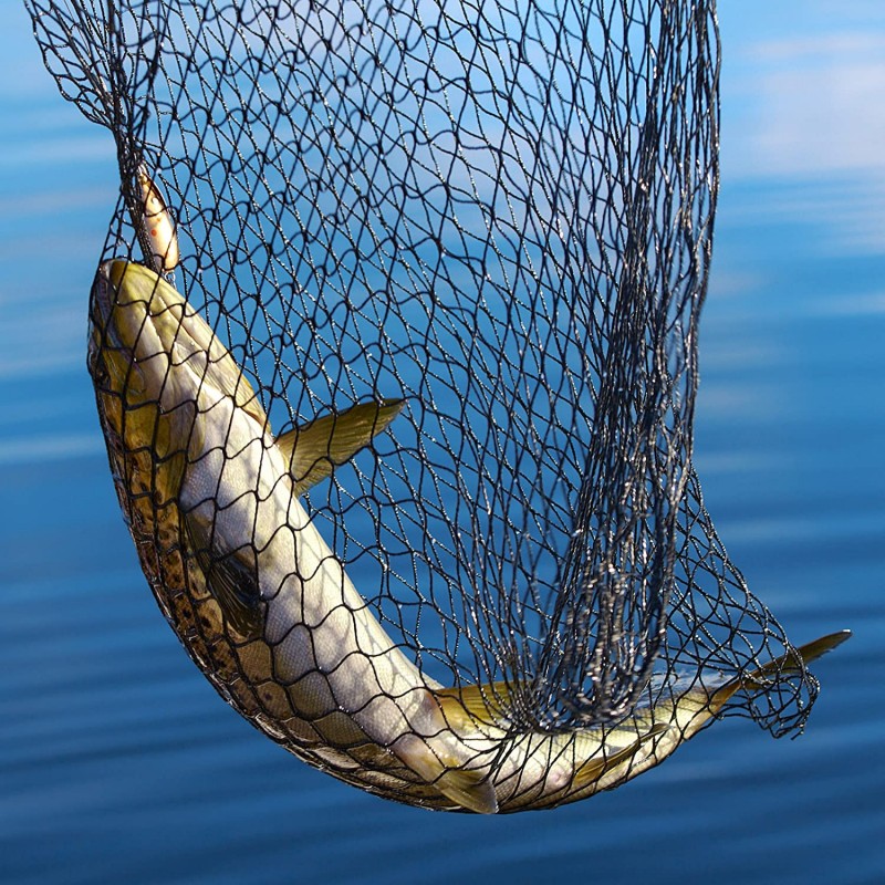 تور ماهیگیری دسته دار (چاک) 60 سانتی متری
