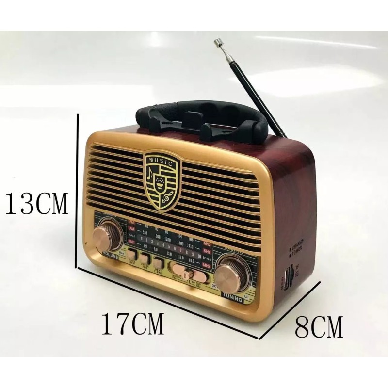 رادیو گولون مدل RX-BT1110