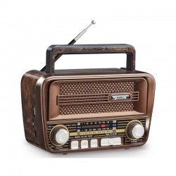 رادیو گولون مدل RX-733BT