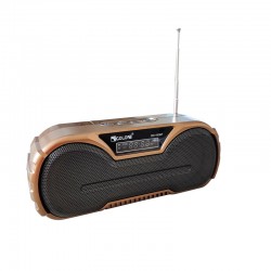 رادیو گولون مدل RX-433BT